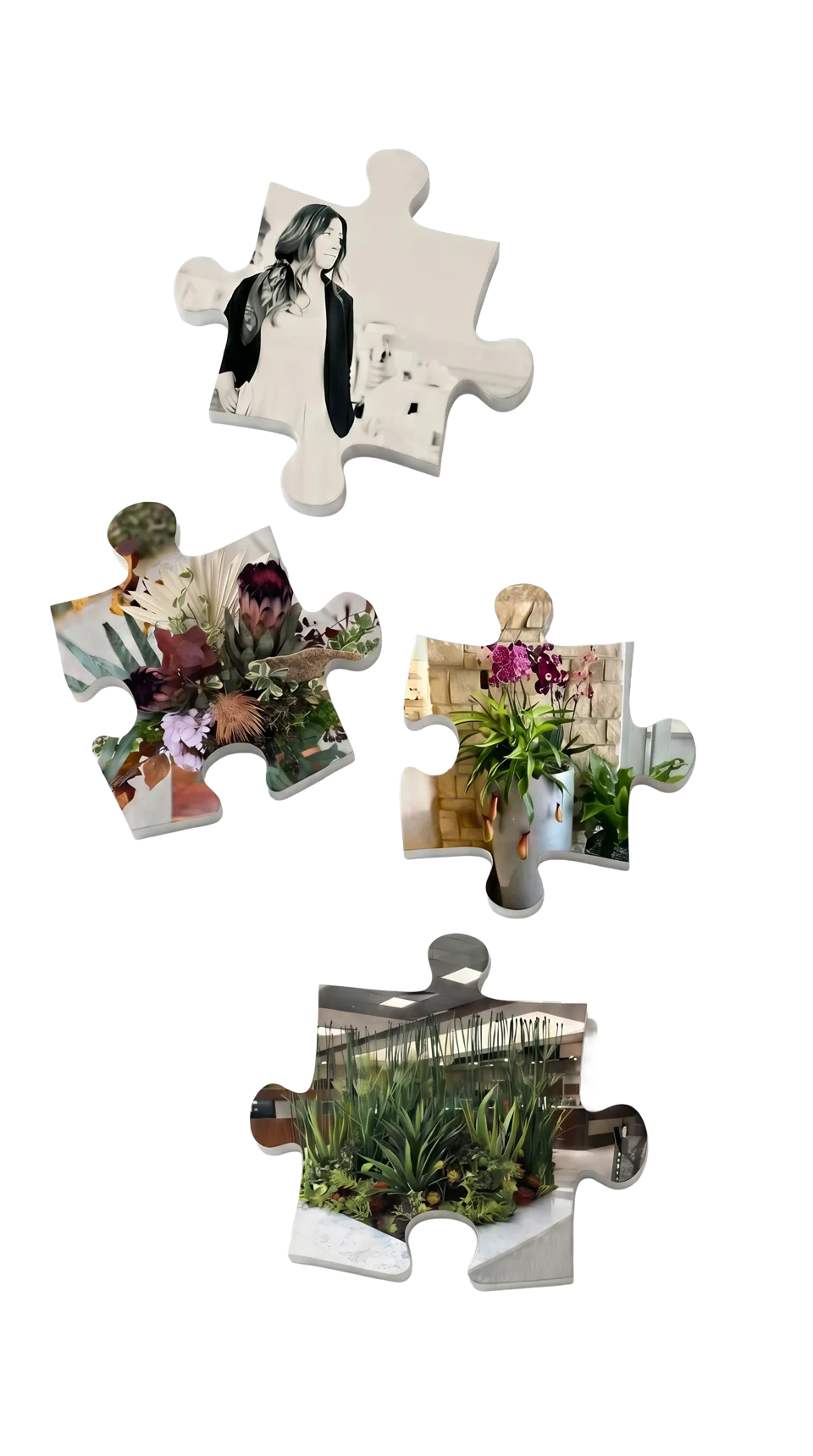 Puzzle-piece collage for Flori Concepts, a San Antonio plantscape design client of iKaleo Solutions, showing florals, potted orchids, and an indoor plant installation
